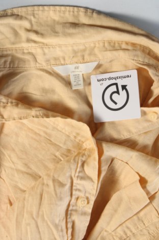 Damenbluse H&M, Größe XS, Farbe Mehrfarbig, Preis 1,99 €