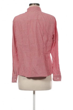 Damska koszula Montego, Rozmiar XL, Kolor Kolorowy, Cena 20,99 zł