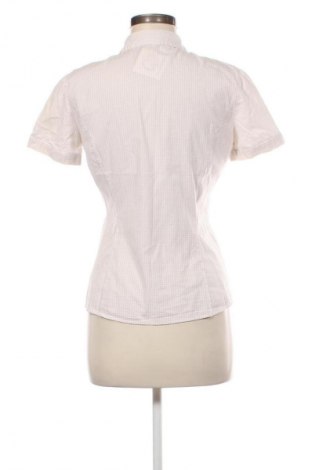 Dámska košeľa  More & More, Veľkosť M, Farba Viacfarebná, Cena  7,95 €