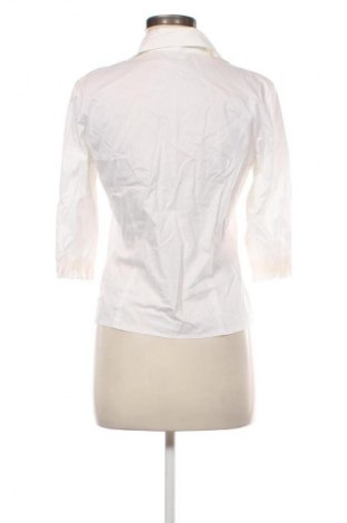 Damenbluse Taifun, Größe M, Farbe Weiß, Preis € 7,99