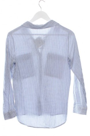 Damska koszula Zara, Rozmiar XS, Kolor Kolorowy, Cena 25,99 zł