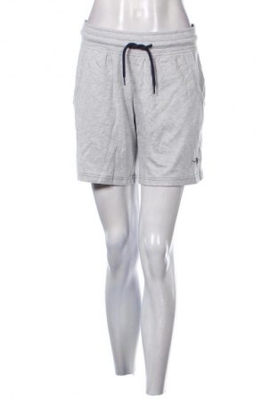 Damen Shorts Kangaroos, Größe M, Farbe Grau, Preis 18,99 €