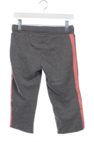 Dámské tepláky Superdry, Velikost XS, Barva Vícebarevné, Cena  79,00 Kč