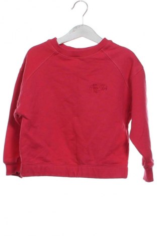 Kinder Shirt Zara, Größe 5-6y/ 116-122 cm, Farbe Mehrfarbig, Preis 5,99 €