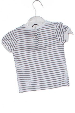 Kinder T-Shirt Topomini, Größe 6-9m/ 68-74 cm, Farbe Mehrfarbig, Preis 1,99 €