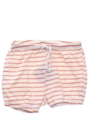 Dziecięce szorty Ergee, Rozmiar 12-18m/ 80-86 cm, Kolor Kolorowy, Cena 6,99 zł