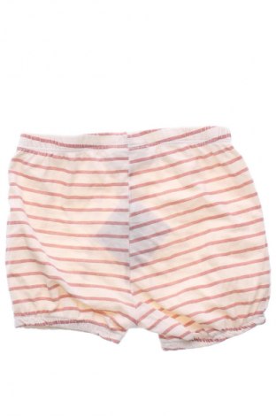 Dziecięce szorty Ergee, Rozmiar 12-18m/ 80-86 cm, Kolor Kolorowy, Cena 6,99 zł