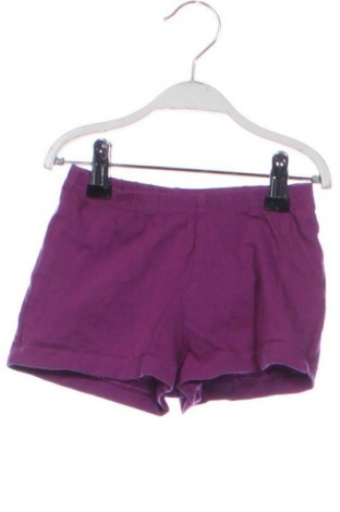 Kinder Shorts Lupilu, Größe 18-24m/ 86-98 cm, Farbe Lila, Preis 1,99 €