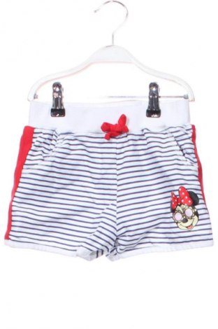 Dziecięce szorty Minnie Mouse, Rozmiar 7-8y/ 128-134 cm, Kolor Kolorowy, Cena 46,03 zł