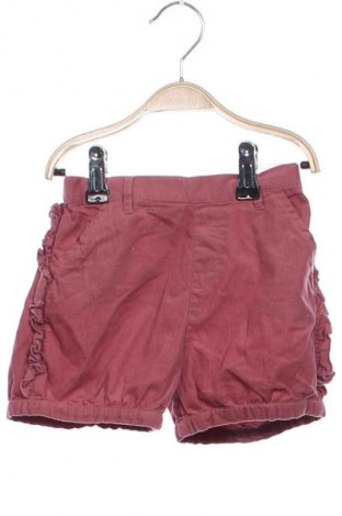 Kinder Shorts Monsoon, Größe 2-3m/ 56-62 cm, Farbe Rosa, Preis 1,99 €