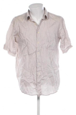 Herrenhemd Pierre Cardin, Größe XL, Farbe Mehrfarbig, Preis € 7,99