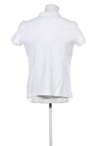 Herren T-Shirt East Wind, Größe S, Farbe Weiß, Preis € 11,99