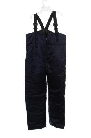 Herrenhose für Wintersport Unbranded, Größe M, Farbe Blau, Preis € 20,99