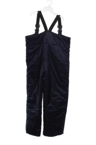 Herrenhose für Wintersport Unbranded, Größe M, Farbe Blau, Preis € 20,99