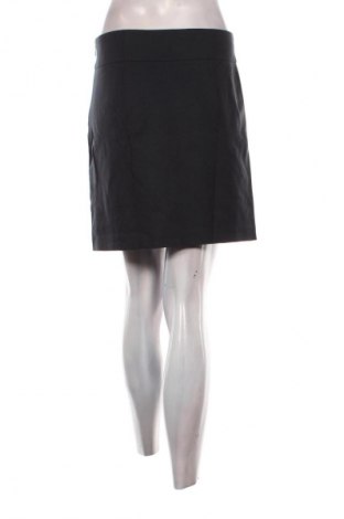 Sukně Banana Republic, Velikost L, Barva Modrá, Cena  49,00 Kč