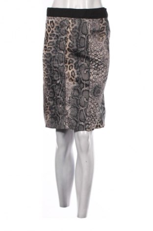 Φούστα Dorothy Perkins, Μέγεθος M, Χρώμα Πολύχρωμο, Τιμή 2,99 €