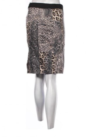 Φούστα Dorothy Perkins, Μέγεθος M, Χρώμα Πολύχρωμο, Τιμή 2,99 €