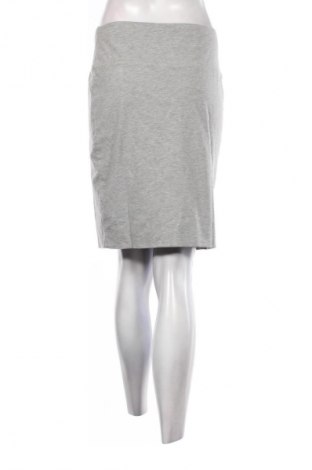 Sukňa Kaffe, Veľkosť L, Farba Sivá, Cena  1,95 €