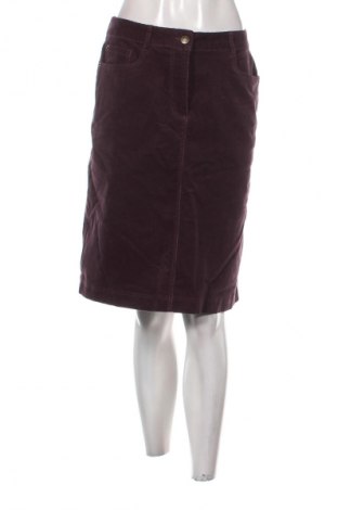 Sukně Marks & Spencer, Velikost M, Barva Popelavě růžová, Cena  349,00 Kč