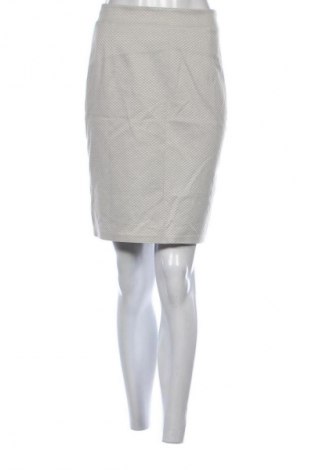 Φούστα Nissa, Μέγεθος S, Χρώμα Γκρί, Τιμή 5,99 €