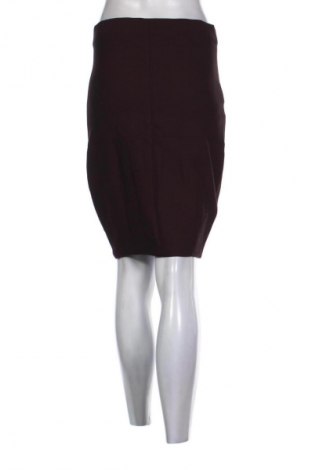 Sukně Zara, Velikost S, Barva Červená, Cena  59,00 Kč