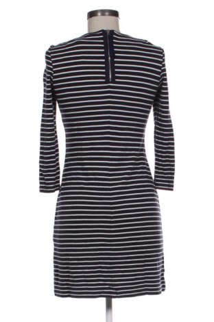 Sukienka Brax, Rozmiar XS, Kolor Czarny, Cena 31,50 zł