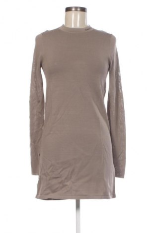 Kleid Calvin Klein Jeans, Größe XS, Farbe Braun, Preis 51,99 €