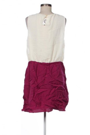 Šaty  Oasis, Veľkosť L, Farba Ružová, Cena  5,95 €