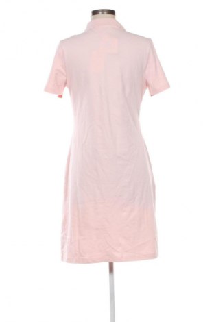 Sukienka Tommy Hilfiger, Rozmiar XL, Kolor Różowy, Cena 352,99 zł