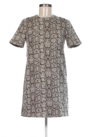 Šaty  Zara, Veľkosť XS, Farba Viacfarebná, Cena  15,95 €