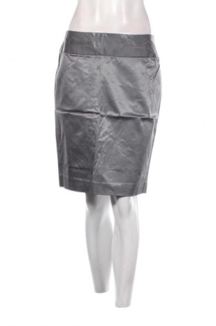 Φούστα Unbranded, Μέγεθος M, Χρώμα Γκρί, Τιμή 1,99 €