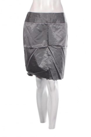 Φούστα Unbranded, Μέγεθος M, Χρώμα Γκρί, Τιμή 1,99 €