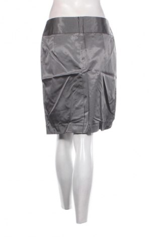 Φούστα Unbranded, Μέγεθος M, Χρώμα Γκρί, Τιμή 1,99 €