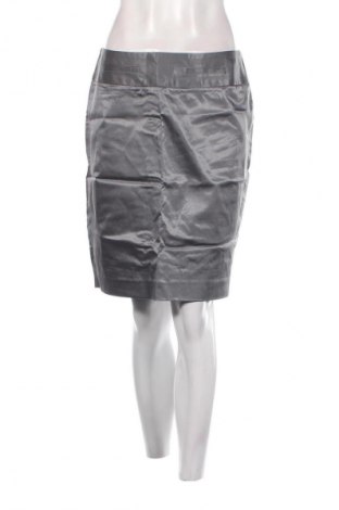 Φούστα Unbranded, Μέγεθος M, Χρώμα Γκρί, Τιμή 1,99 €