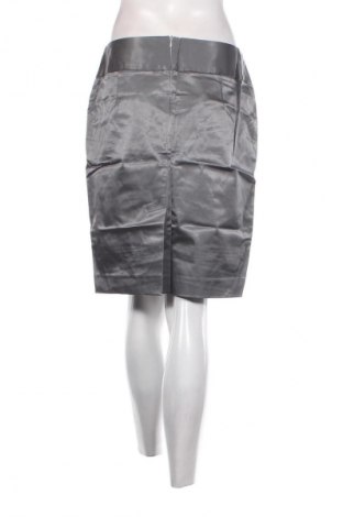 Φούστα Unbranded, Μέγεθος M, Χρώμα Γκρί, Τιμή 1,99 €