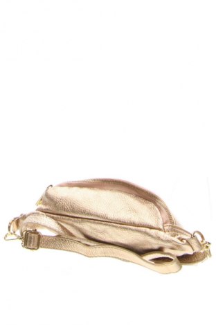 Ledvinka  Giuliano, Barva Zlatistá, Cena  431,00 Kč