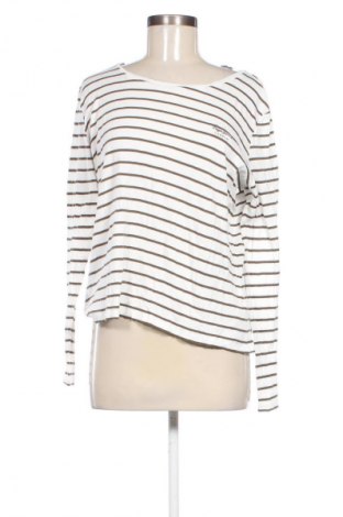 Damen Shirt Pepe Jeans, Größe L, Farbe Mehrfarbig, Preis € 13,99