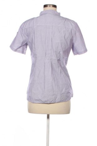 Damenbluse Basefield, Größe S, Farbe Lila, Preis 14,86 €