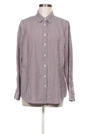 Damenbluse Collection L, Größe XL, Farbe Mehrfarbig, Preis 1,99 €