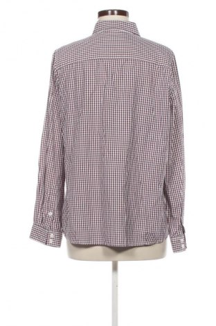 Damenbluse Collection L, Größe XL, Farbe Mehrfarbig, Preis 1,99 €