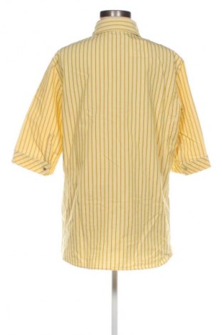 Damenbluse Elena Miro, Größe XL, Farbe Mehrfarbig, Preis € 29,72