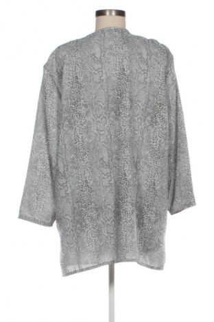 Damenbluse Fabiani, Größe XXL, Farbe Mehrfarbig, Preis € 2,99