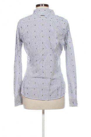 Damenbluse Kangaroos, Größe M, Farbe Mehrfarbig, Preis 3,99 €