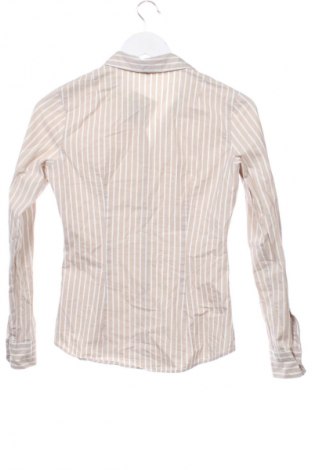 Damenbluse Montego, Größe XS, Farbe Mehrfarbig, Preis 6,99 €