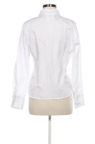 Damenbluse Sinsay, Größe L, Farbe Weiß, Preis € 3,99