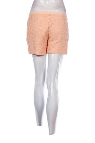 Γυναικείο κοντό παντελόνι Sisley, Μέγεθος M, Χρώμα  Μπέζ, Τιμή 6,99 €