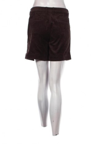 Γυναικείο κοντό παντελόνι Woman By Tchibo, Μέγεθος M, Χρώμα Καφέ, Τιμή 3,99 €