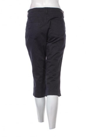 Γυναικείο παντελόνι Brax, Μέγεθος L, Χρώμα Μπλέ, Τιμή 4,99 €