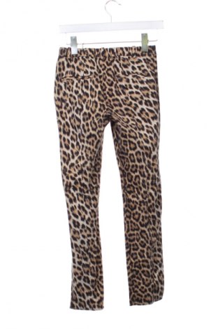 Damenhose Zara, Größe S, Farbe Mehrfarbig, Preis € 3,99