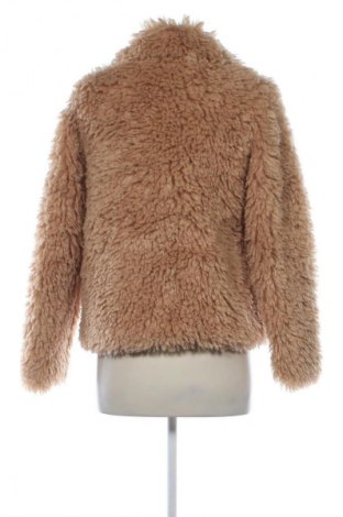 Γυναικείο παλτό Primark, Μέγεθος XXS, Χρώμα  Μπέζ, Τιμή 13,99 €